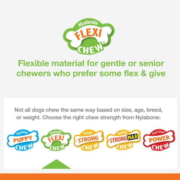 Nylabone Silver Collection Flexi Chew X-Bone Chew Toy for Senior Dogs Turkey & Sweet Potato 1ea SMall Regular - Up To 25 Ibs. Online