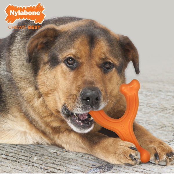 Nylabone Silver Collection Power Chew Wishbone Chew Toy for Senior Dogs Bison Flavor 1ea Large Giant - Up To 50 lb For Sale