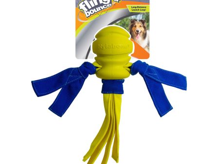 Nylabone Power Play Fling-a-Bounce Interactive Dog Toy 1ea Medium Wolf - Up To 35 lb Online now