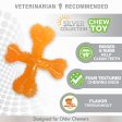 Nylabone Silver Collection Flexi Chew X-Bone Chew Toy for Senior Dogs Turkey & Sweet Potato 1ea SMall Regular - Up To 25 Ibs. Online