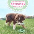 Nylabone Sensory Material Puppy Teething Ring Chicken, 1ea Small Regular - Up To 25 Ibs. Online Sale