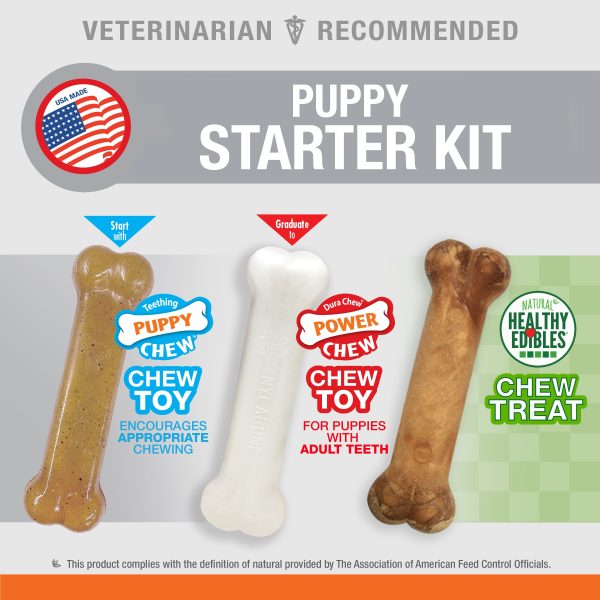 Nylabone Puppy Starter Kit Dog Chew Toys & Treat Chicken & Bacon 1ea SMall Regular - Up To 25 Ibs. For Discount