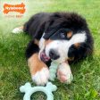 Nylabone Sensory Material Puppy Teething Ring Chicken, 1ea Small Regular - Up To 25 Ibs. Online Sale