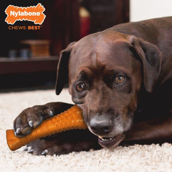 Nylabone Silver Collection Strong Chew Rubber Bone Chew Toy for Senior Dogs Beef Flavor 1ea XL Souper - 50+ lb Hot on Sale