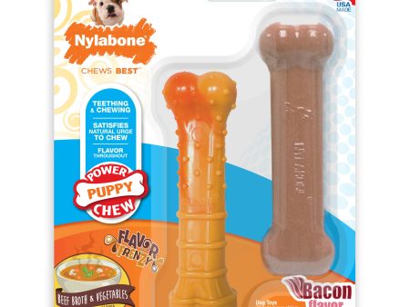 Nylabone Tough Puppy Chew Bones Twin Pack 1ea Supply