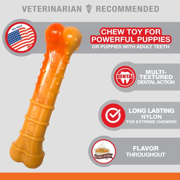 Nylabone Textured Nylon Puppy Chew Toy Beef & Vegetable 1ea Large Giant - Up To 50 lb Online