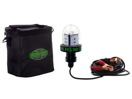 Hydro Glow HG30 30W 12V Deep Water LED Fish Light - Green Globe Style [HG30] For Sale