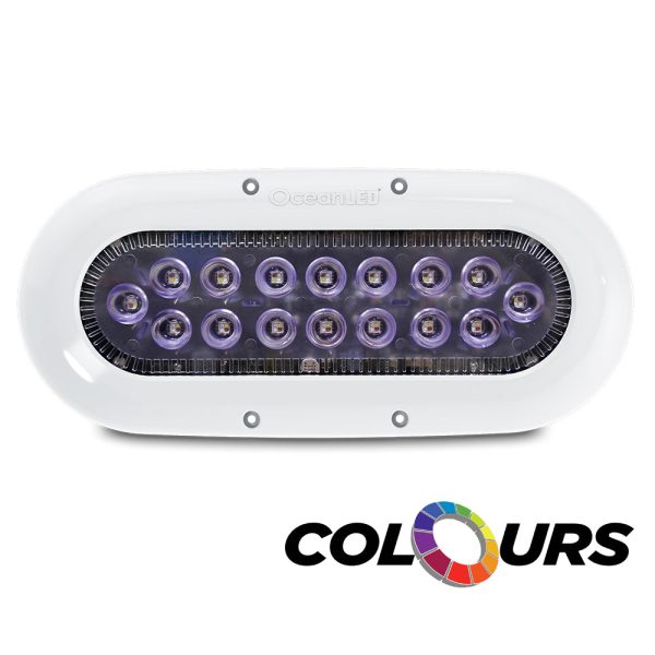 Ocean LED X-Series X16 - Colors LEDs [012311C] Online Sale