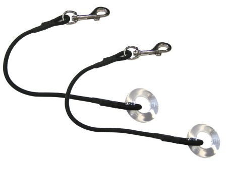 TACO Shock Cord w Glass Eye (Pair) [COK-0021-2] Online Hot Sale