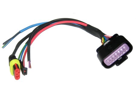 VDO Input Harness to Master - Supports CAN & Two Analog Inputs [A2C53092432-S] For Cheap