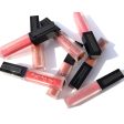 All Day Long Liquid Matte Lipstick(22 FLESH) Supply